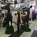 Лиля Седых