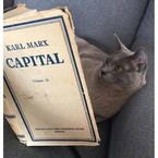 Алина Шубко