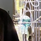 Мария Науменко