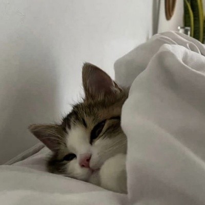 Даша Юденкова