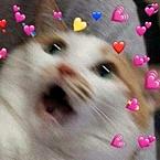 Данил Медвежонок