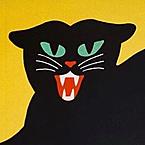 Даша Попова