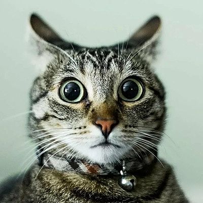 Влад Матвеев