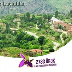 Ismayil Allahverdiyev