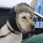 Лёня Рысюков