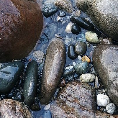 Мия Богатырёва