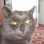 Виталий Харлов