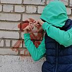 Арсений Шабанов