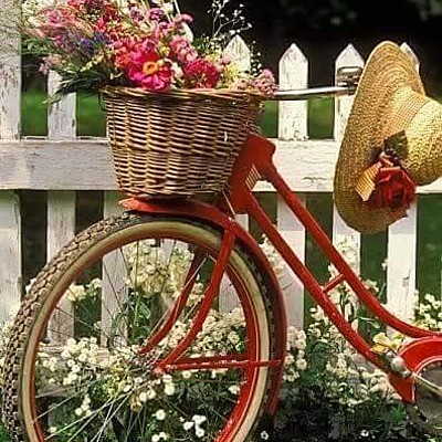 Cветлана Переслегина