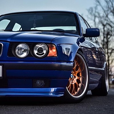 Алиса Бессмертная