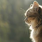 Зоя Федосеева