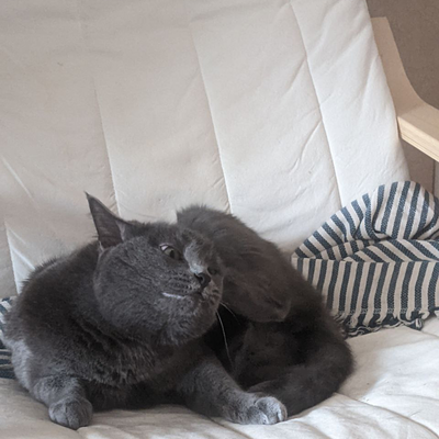 ЗернобобоваяБо