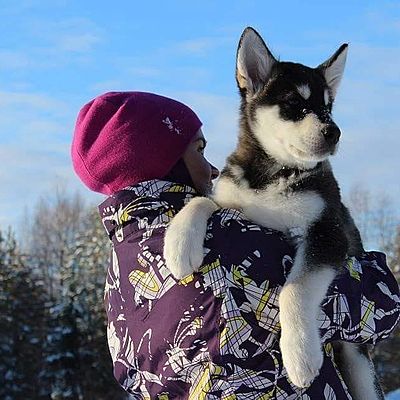 Людмила Басенко