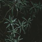 Нурлан Бурбаев