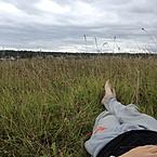 Роман Бушковский