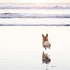 Амина Уголькова