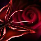 Лариса Болысканова