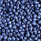 Милана Леньшина