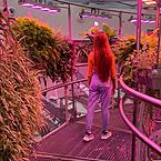 Полина Пономарева