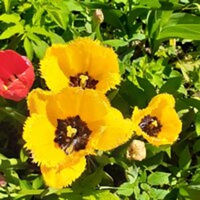 Мила Серегина