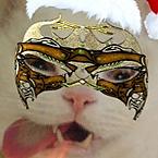 Леонид Оленин