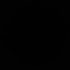 Диана Попова