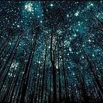 Алекссандра Долгополова