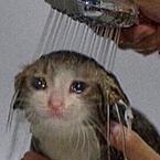 Кристина Мироненко