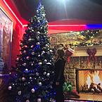 Александра Соколова