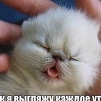 Полина Строганова