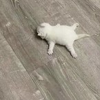 Лидия Перерва