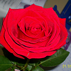 Люблю читать!!!