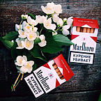 Алексей Каверин