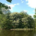 неучтённая девочка