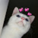 Анна Вахтина