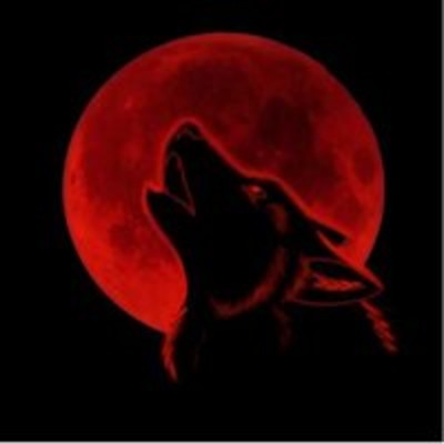 Лия Волкова