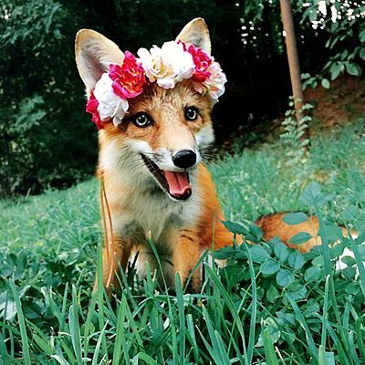 Марина Солнцева