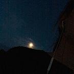 Эрика Крузенберг