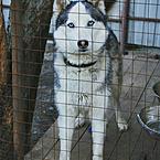 Таня Щербакова