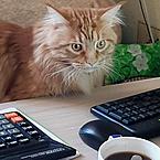 Аксинья Батаева