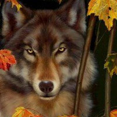 Кармов Руслан