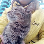 Кристина Шилова