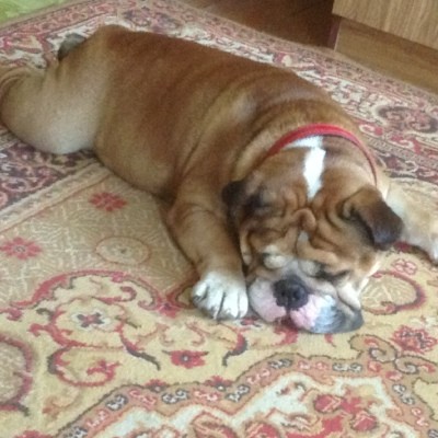 Ирина Соколова