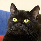 Михаил Батура