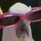 Екатерина Шумова