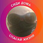 Василий Воронцов