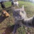 Артем Касич