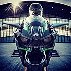 Алексей Родин