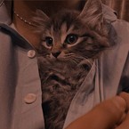 だりなクシュト
