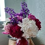 Марина Перешкайлова